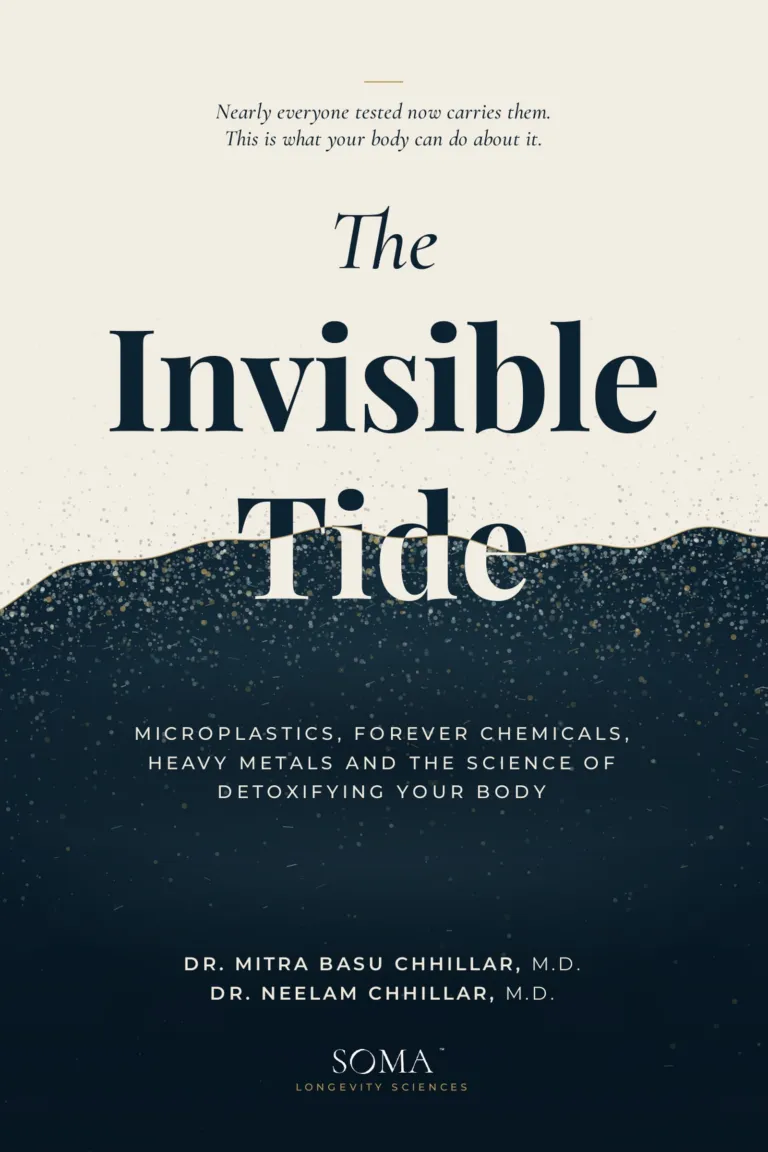 The Invisible Tide book cover